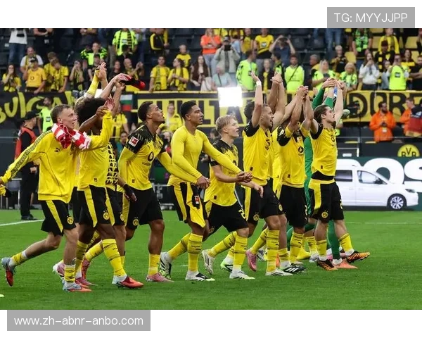 德甲私人球队及其经营模式