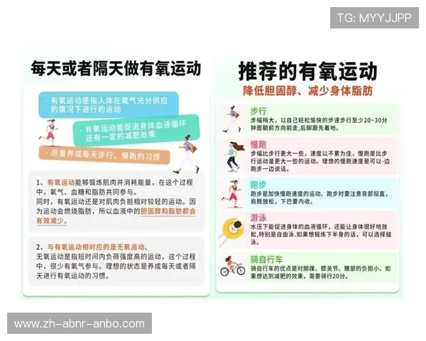 高效的燃脂有氧运动